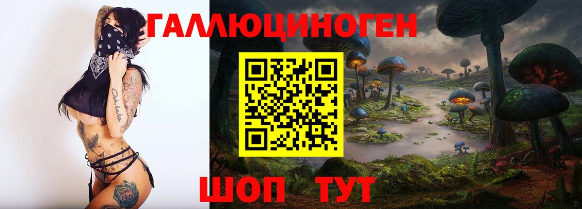 как найти наркотики  Вход с VPN  Тамбов  Галлюциногенные грибы Psilocybe 